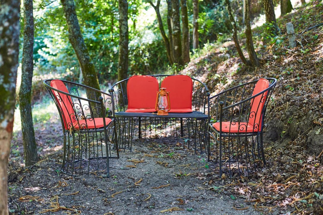 Quinta Do Lordelo Turismo Rural Penafiel Exteriör bild